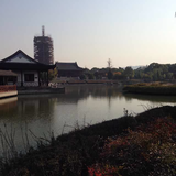 清晨阳光213040255头像