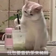 官人166头像