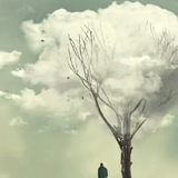 一丝不苟孔雀nI头像