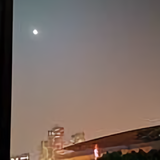 都槐巍巍头像