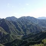 社会不惯人AA头像