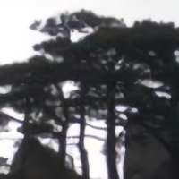 道心佛性1头像