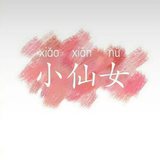 小莘菀头像