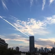 王森303头像