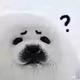 用户7369209091492头像