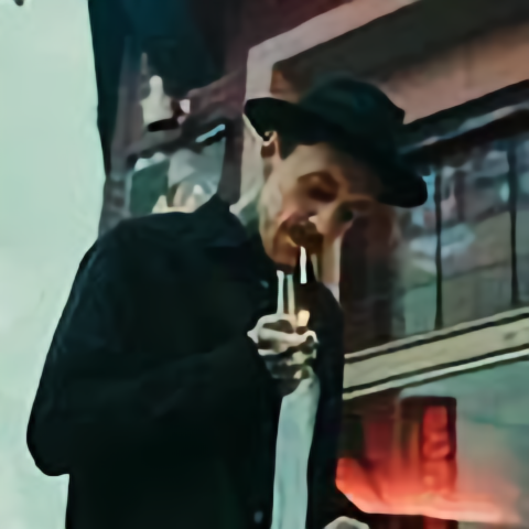 骑大象数毛毛头像