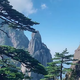 yongyuan33头像