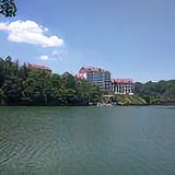 永红702头像