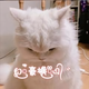 এ᭄ꦿཽ࿆遇见『😉』头像