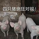 唐哥哥1218头像