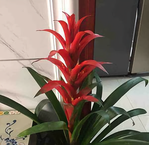 慧海头像