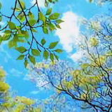 用户104222995291头像