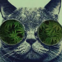 心有所思XM头像