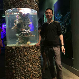 长安少侠头像