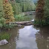zougf头像