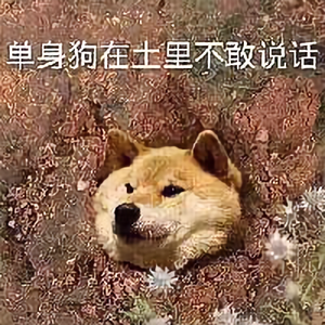 游娱集结号头像