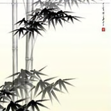 星河辉耀头像