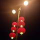 我爱听经典头像
