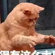 聪明的蛮蛮头像