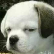 狗头军华北第三大队长头像