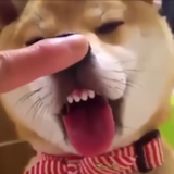 我是雾霾的化身头像