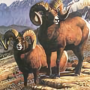 牧羊人186532690头像