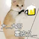 你不够客观293头像