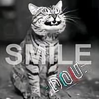 皆为幻象REX头像