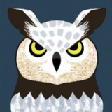 如何成为一个冬瓜头像