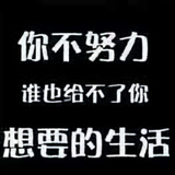 gz云林123头像