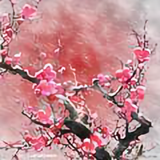 无情画诗头像
