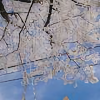 凡尘清心xi头像