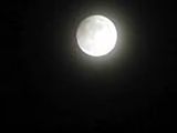 塞星王雄头像