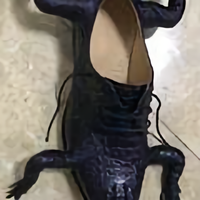 爻玩头像
