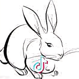 攀哥头像