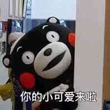 梦里不知身是客7333头像