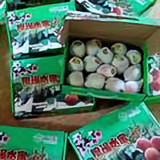 农村产品代言人头像