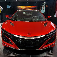 noles的爱在青岛头像