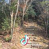 徽仔头像