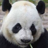 戒劫杰头像