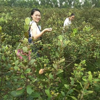 荔乡农业梁哥头像