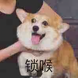 哦吼Zz6767头像