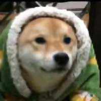 睿智的读书匠头像