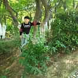 刘虎5910头像