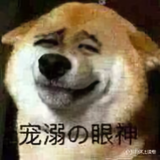 岁月34053头像
