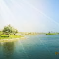 一阵清风787头像