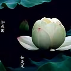 喝酒吃菜听故事头像