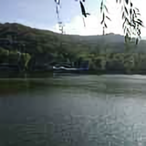 齐天大圣3812头像