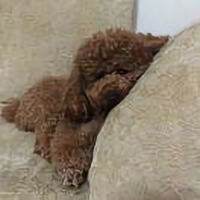 💋wEi💢💢头像