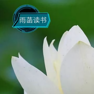 雨菡读书头像